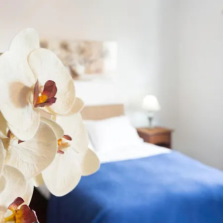 Charming Apartments In Funchal - Sao Goncalo Holiday home Funchal (Madeira)