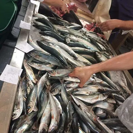 Ferienhaus Charming Apartments In Funchal - Sao Goncalo *