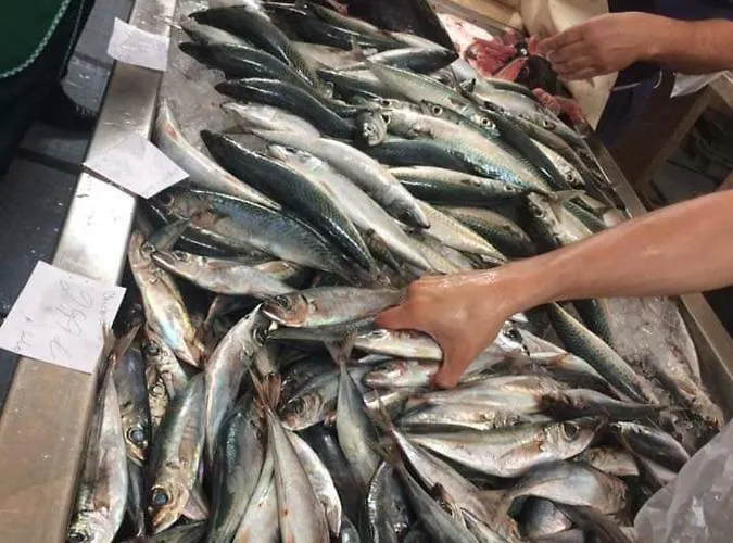 Holiday home Charming Apartments In Funchal - Sao Goncalo *