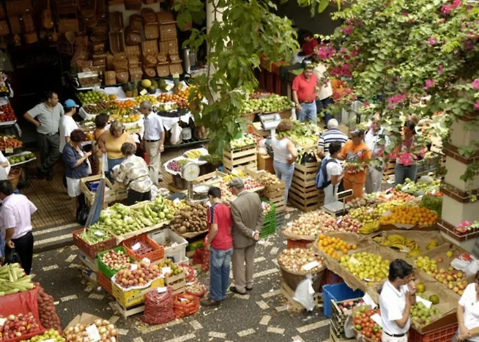 Charming Apartments In Funchal - Sao Goncalo Holiday home Funchal (Madeira)