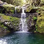 Holiday home Charming Apartments In Funchal - Sao Goncalo *
